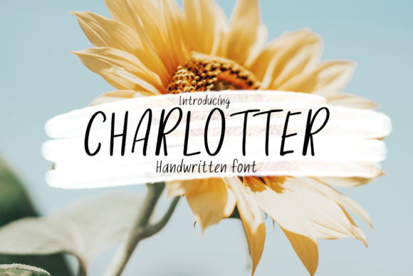 Charlotter: The Handwritten Font That Boosts Campaign Clarity
