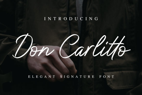Don Carlitto Font: Elevate Your Brand