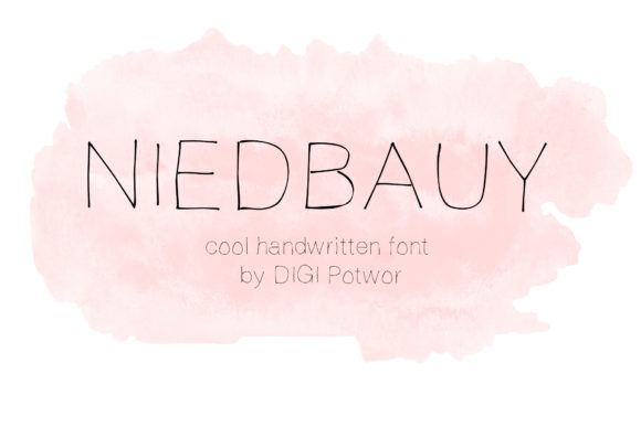 Niedbauy Font: A Friendly Typeface for Small Brands