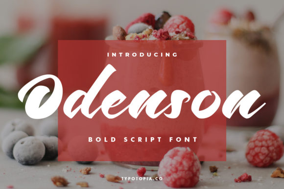 Odenson: A Handwritten Typeface for Modern Web Design
